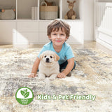 Area Rug Living Room Rugs: 5x7 Washable Large Abstract Modern Soft Stain Resistant Indoor Floor Non Slip Accent Carpet