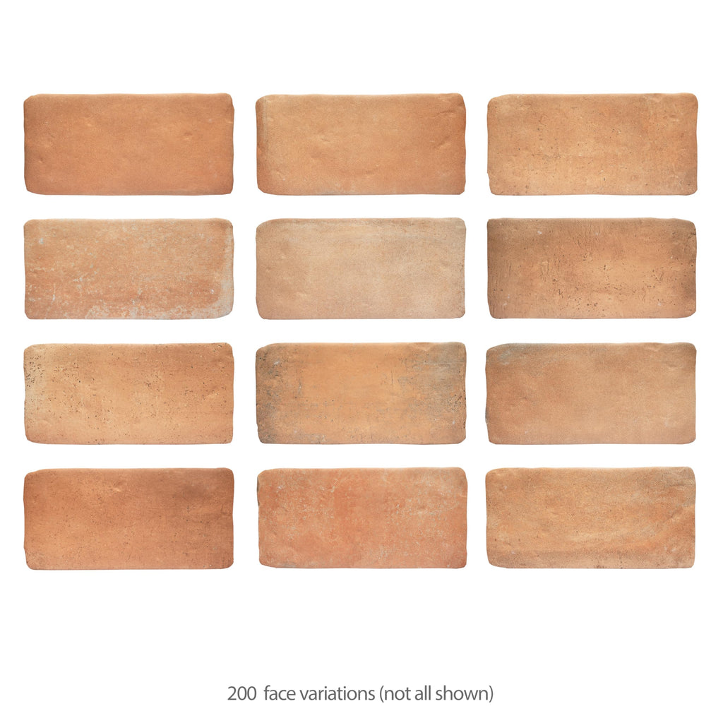 Benisa Cotto 5-7/8" x 11-7/8" Porcelain Floor and Wall Tile