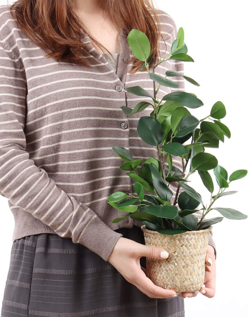 Artificial Ficus Tree Small Fake Plants in Weaved Pot 20" Height Desktop Decor Indoor Home Office Ins Style (Green, 1)