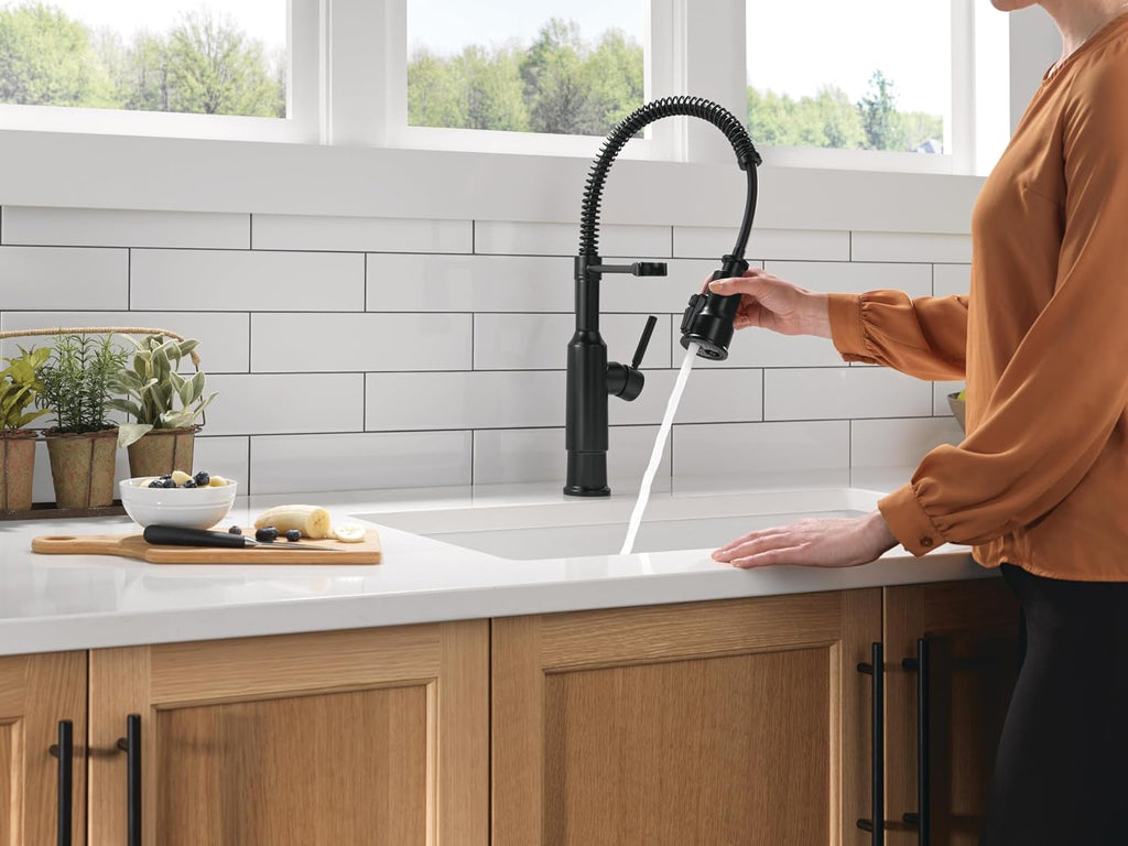Theodora Pro Style Commercial Kitchen Faucet with Pull Down Sprayer, Single Hole Matte Black Kitchen Sink Faucet