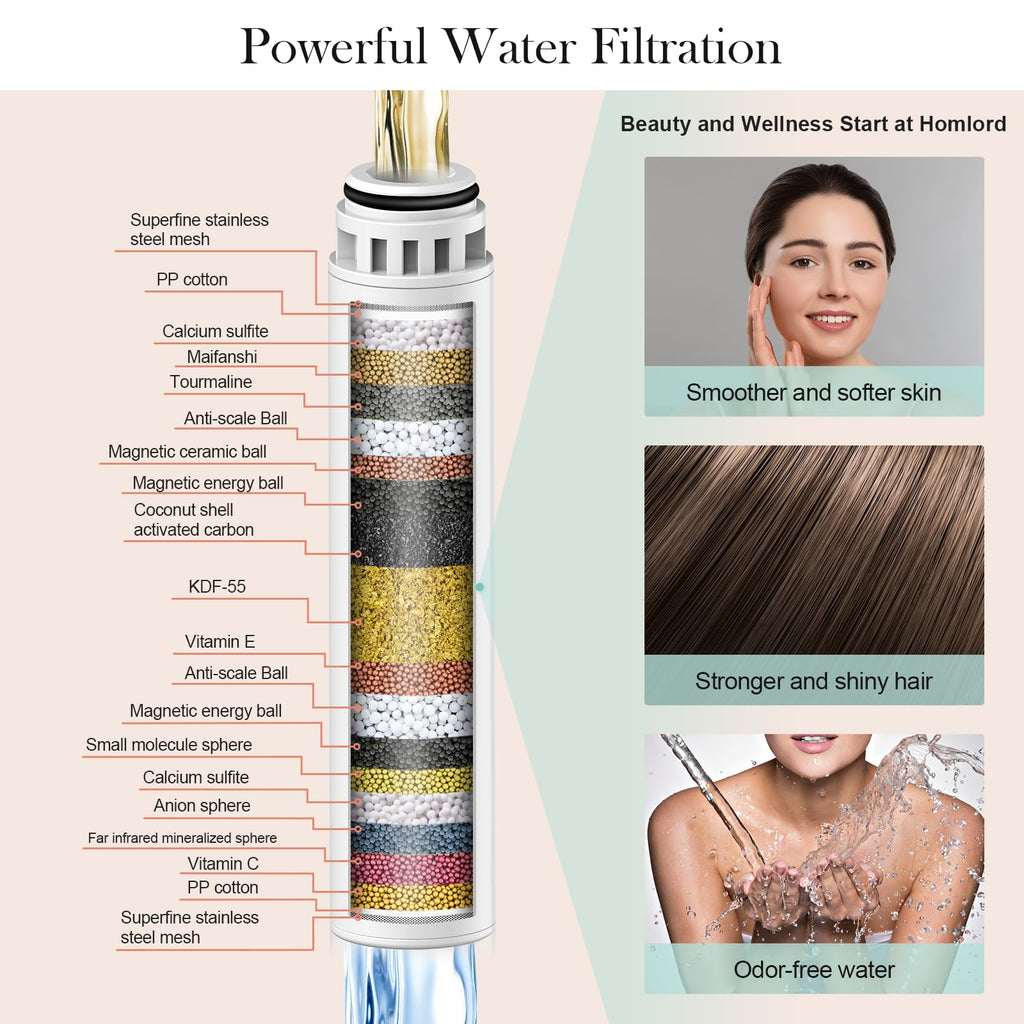 Filtered Shower Head with Handheld, High Pressure 6 Mode Showerhead