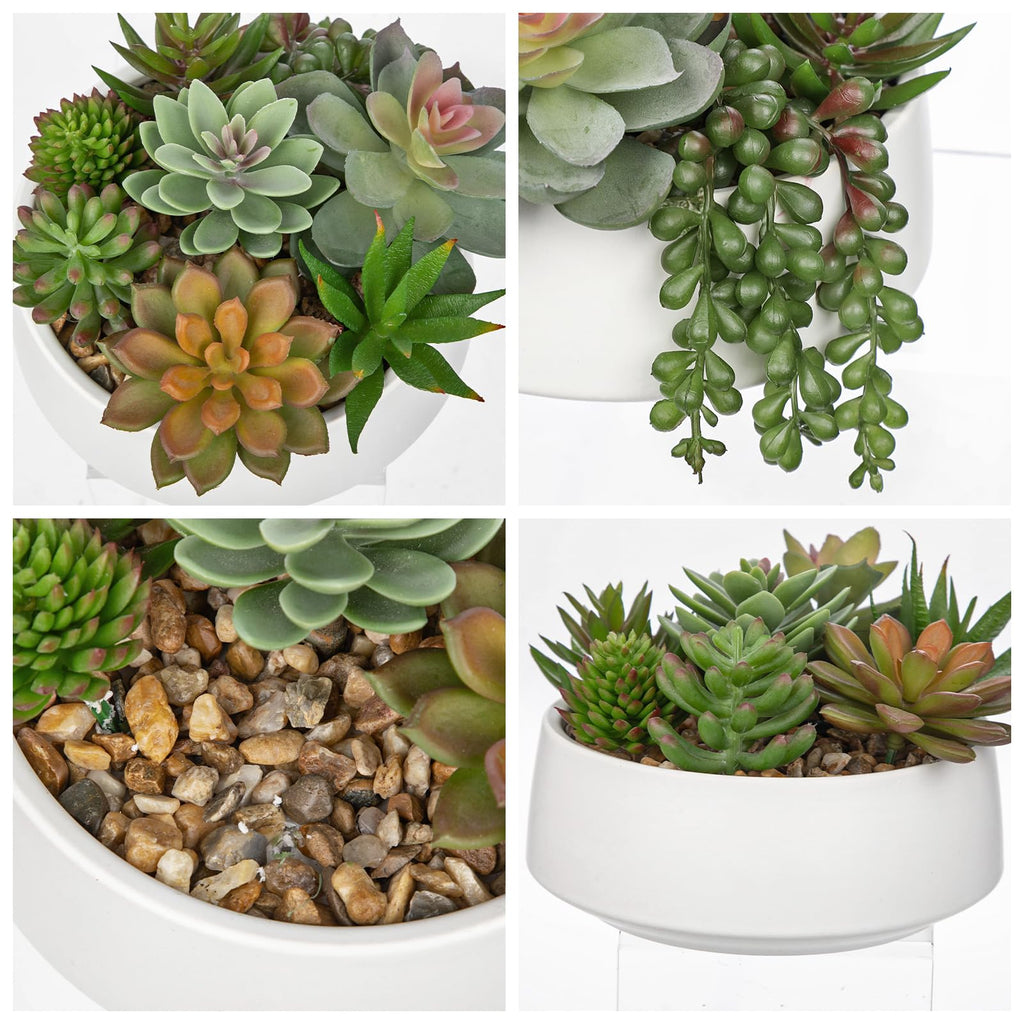 Artificial Succulent Plants in Pot 5.5 Inch Fake Succulents Arrangement