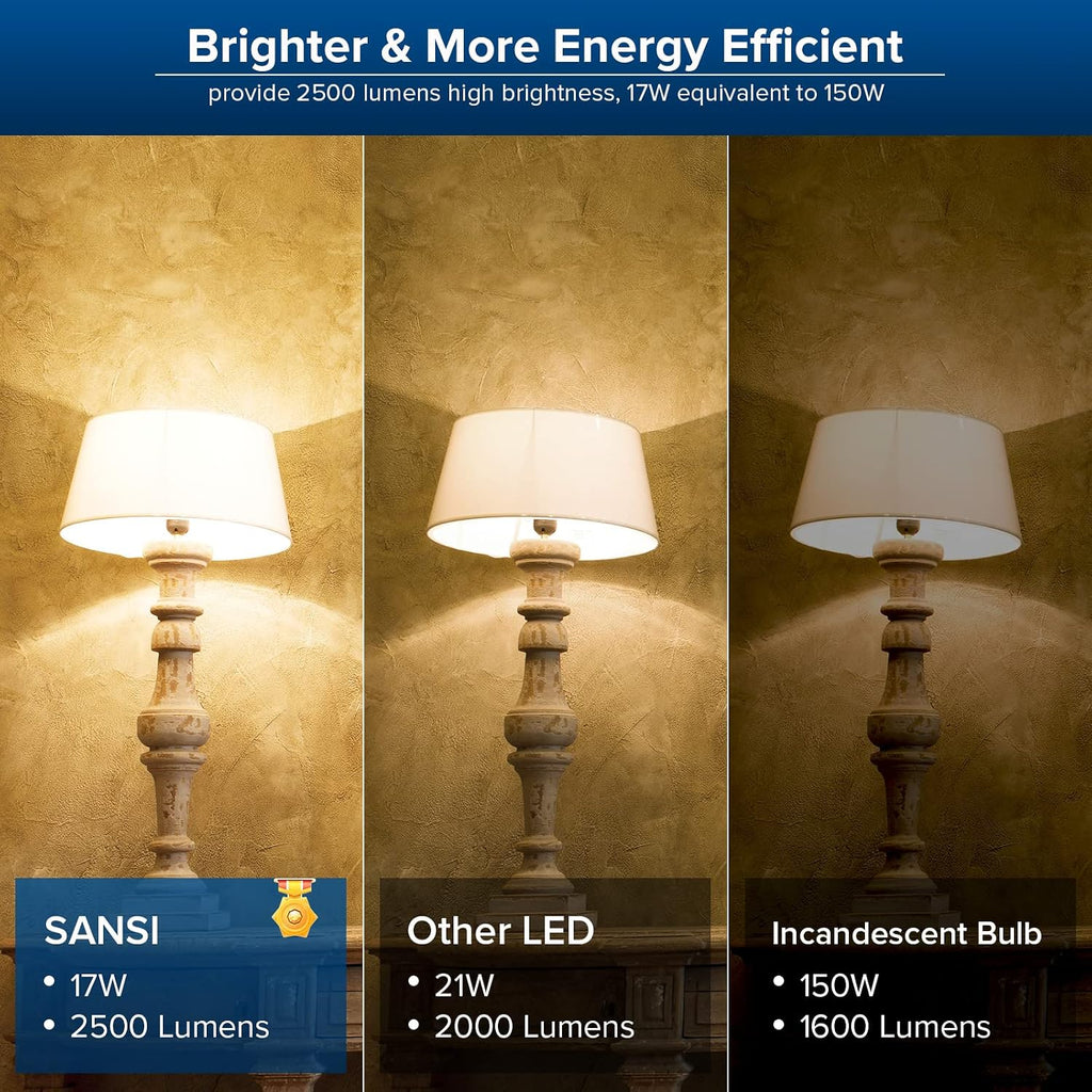 Dimmable LED Light Bulbs Large A19, 150W Equivalent 2500LM, 1 Pack