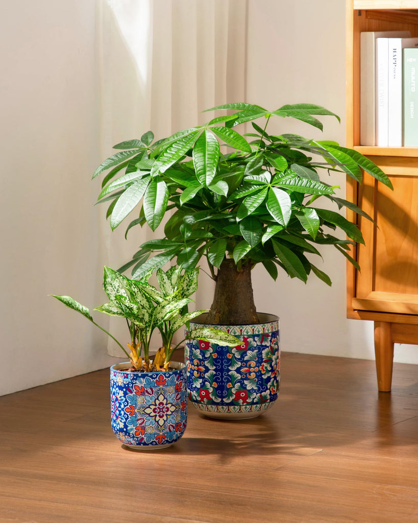 6 Inch Ceramic Plant Pots, Planters with Drainage Hole, Flower Pots Planters Pots for Indoor Plants, Modern Indoor