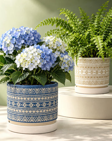 Small Ceramic Pots for Plant Boho Decorative Indoor Planter 5" 6"