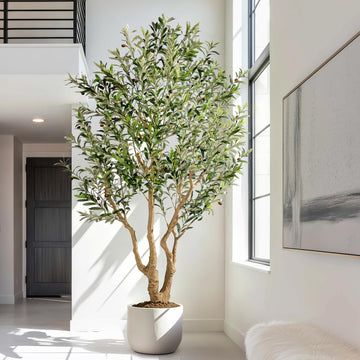 7.2ft Large Artificial Olive Tree Indoor with Pot & Moss - Faux Olive Trees with Realistic Trunk & Leaves Silk Olive