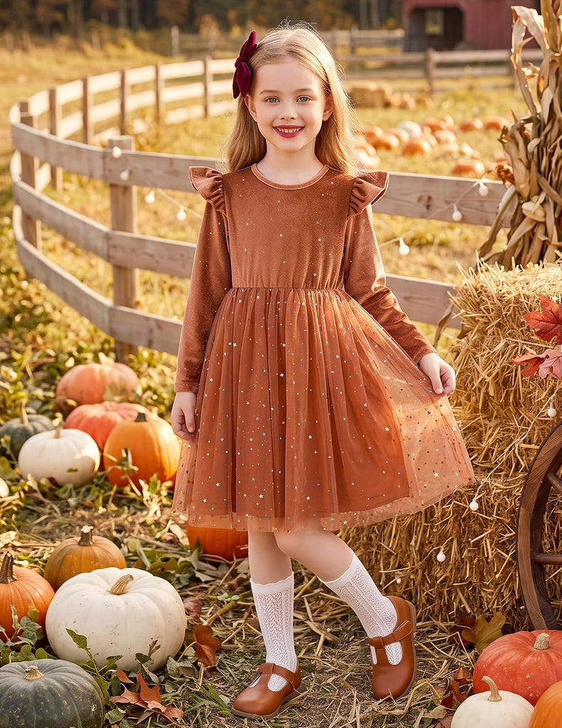Toddler Tutu Dresses Little Girls Velvet Tulle Fall Winter Dress