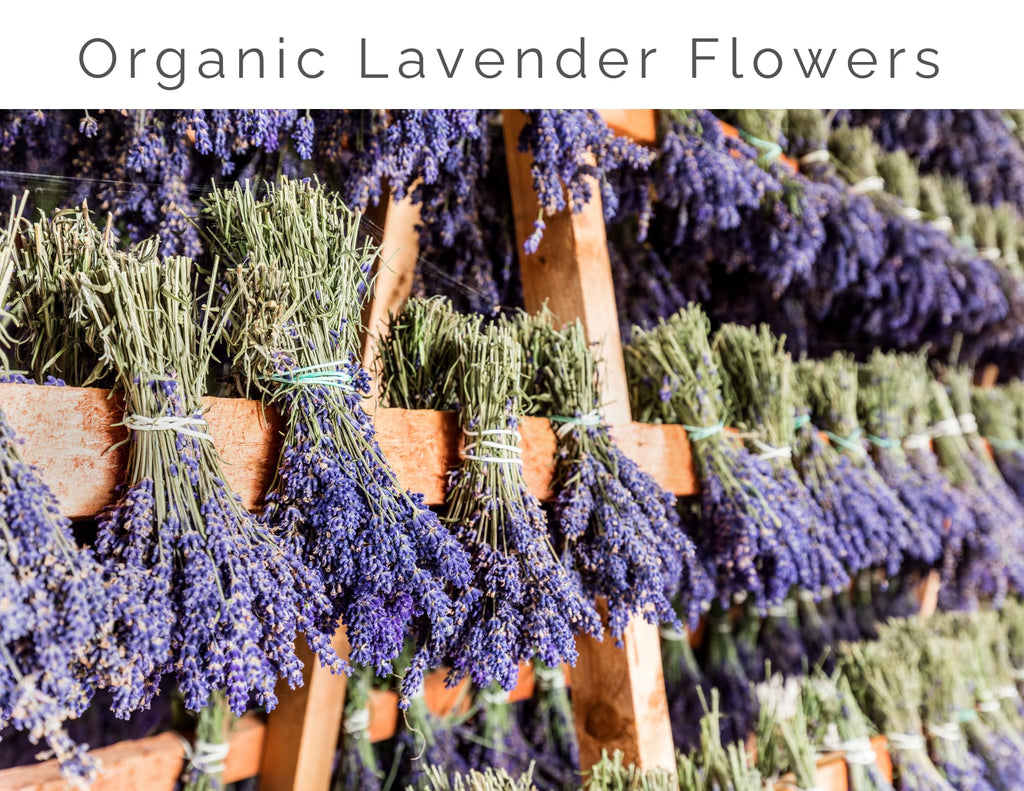Organic Lavender Hydrosol by - Lavender Water & Floral Water Spray, Pure Hydrosol Facial Toner, Linen & Room Mist