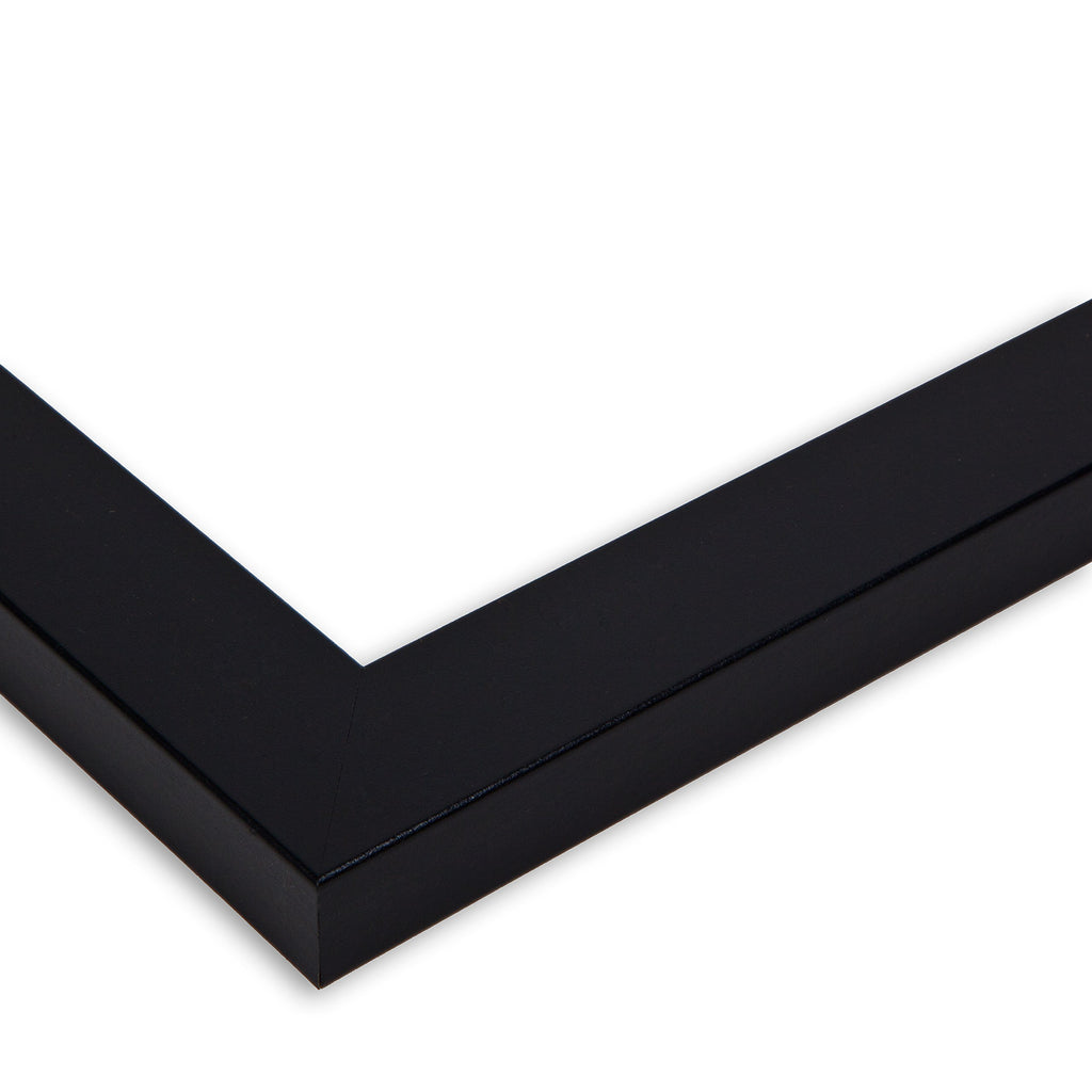 Collage Photo Frame Double Mat with 12-4x6 Openings and Satin Black Frame