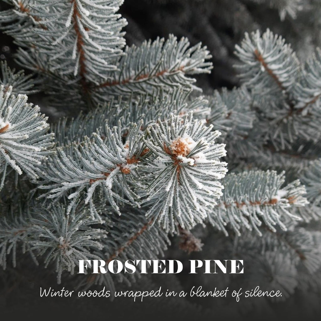 Christmas Holiday Candle - Frosted Pine Scent, 7.4oz Soy Wax, Winter Scented Candle Gift for Women and Teen Girls
