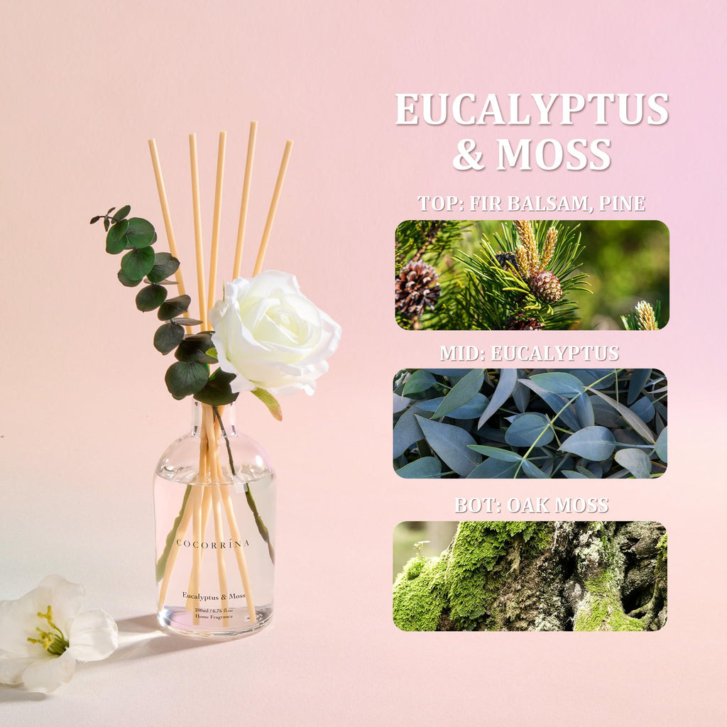 Reed Diffuser Eucalyptus Moss 6.76 fl oz Home Bathroom Fragrance