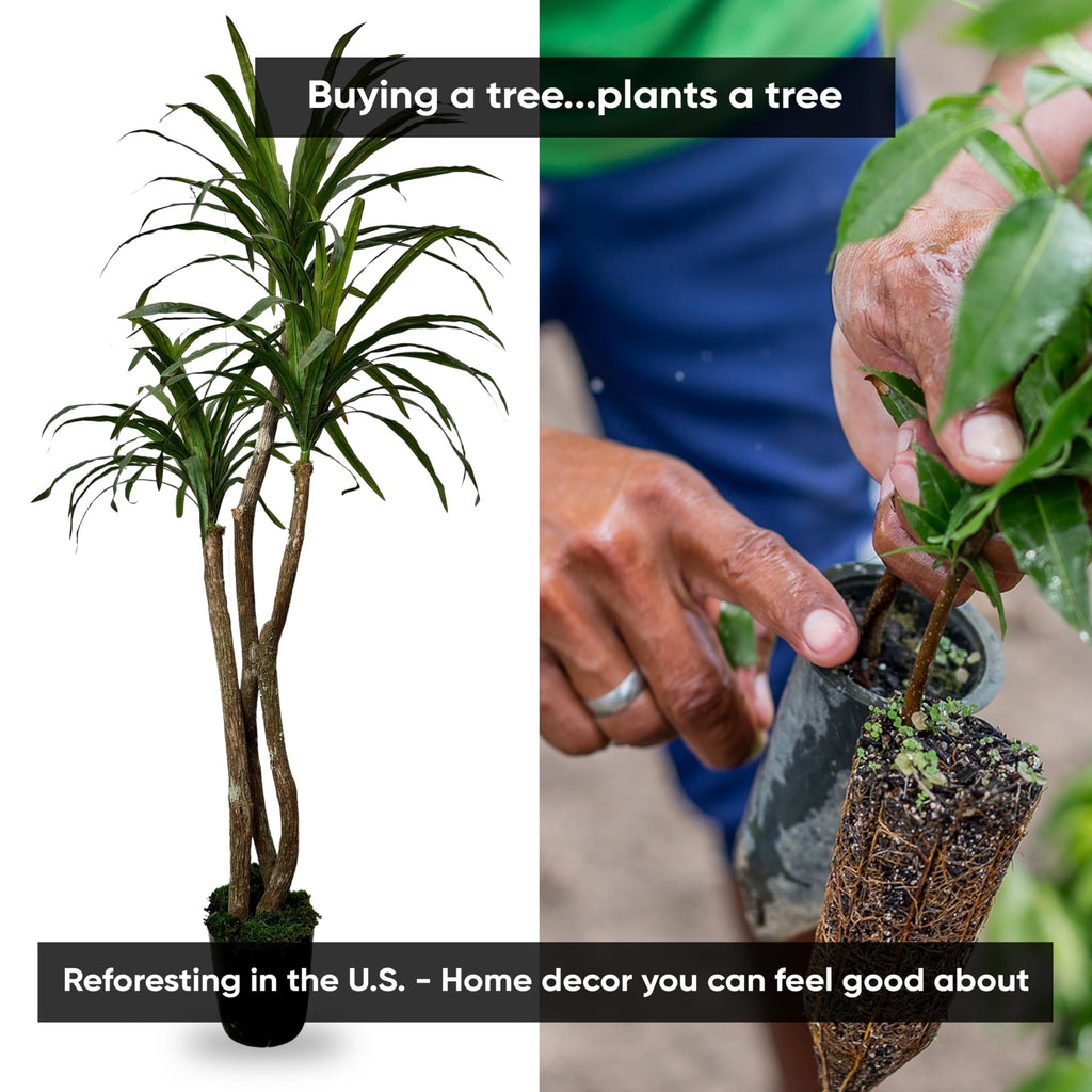 Handmade 5ft Artificial Yucca Plant | Tree with Real Wood Trunks, Hypoallergenic, 5 Foot, Green