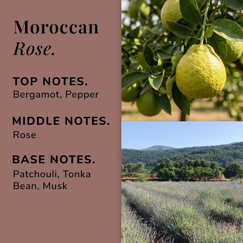 Moroccan Rose Reed Diffuser Refill Set - Rose, Bergamot & Musk Scented Diffuser, 3.4 fl oz, Long Lasting Home