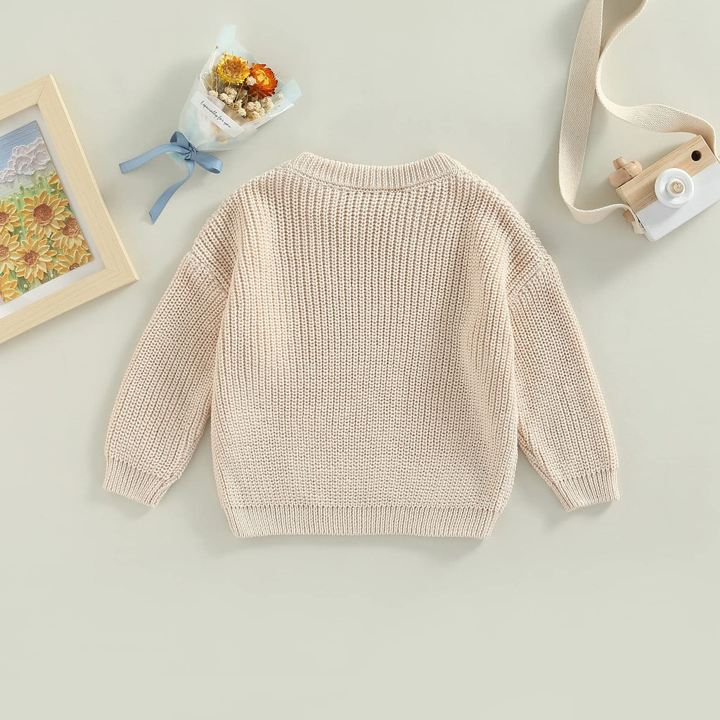 Baby Girl Boy Knit Sweater Blouse Pullover Sweatshirt Warm Crewneck Long Sleeve Tops for Infant Toddler (3-6
