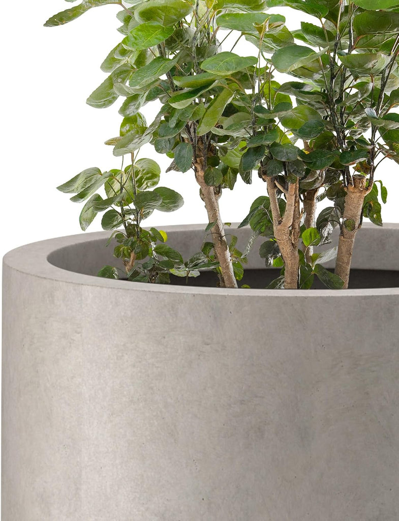 Large Round Tapered Weathered Concrete Planter 24" Tall, Outdoor | Rubber Plug for Indoor, Drainage for Garden