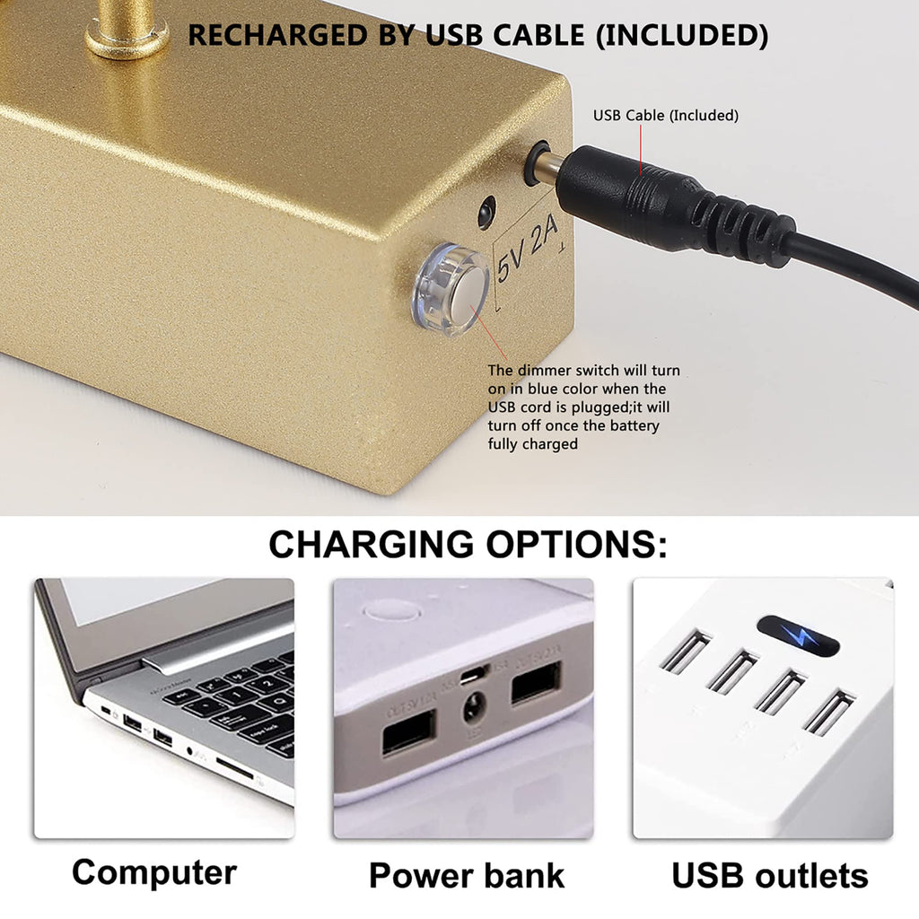 Battery Operated Picture Light,5200mAh Picture Lights for Wall with Remote,16 inch Art Light for Paintings, Gallery