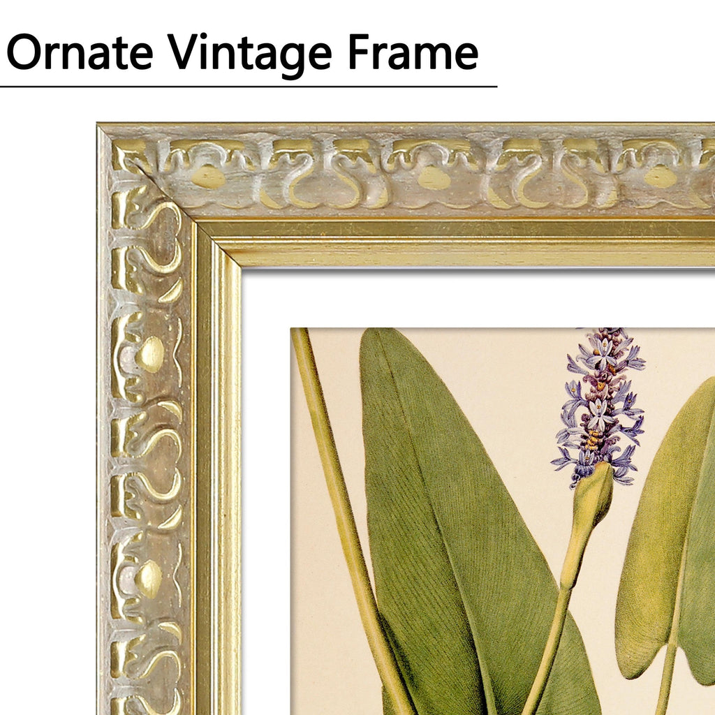 14x16 Picture Frame Gold, Ornate Vintage Photo Frame