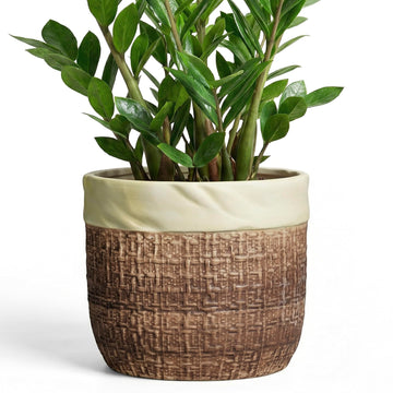 Ceramic Planter - 9.8 Inch Plant Pot for Indoor Outdoor Plants, Boho Ceramic Plant Pots with Drainage Hole and Plug
