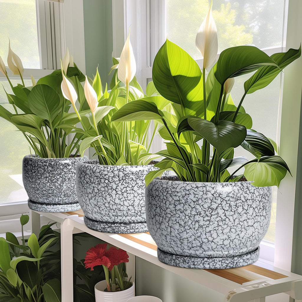 8 inch Plant Pot - Ceramic Planter with Drainage Hole and Saucer, Round Flower Pot for Indoor Plants, Decorative