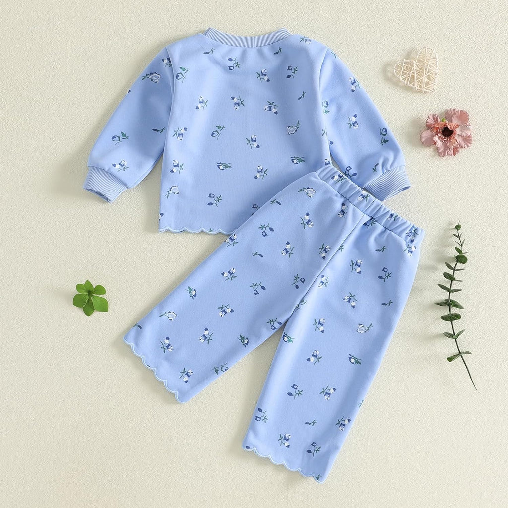 Toddler Baby Girl Clothes Fall Winter Outfits Shirts Pants Set