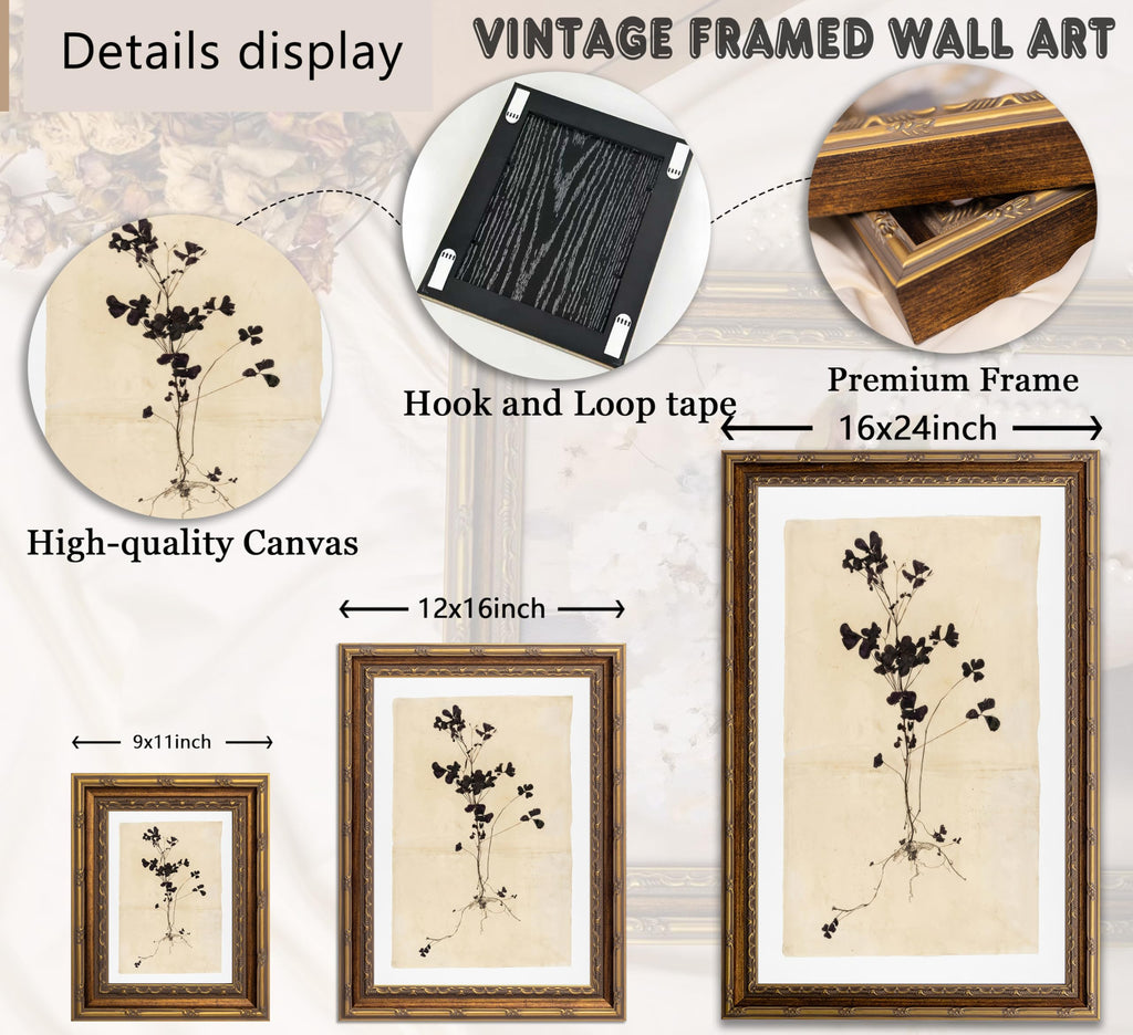 Vintage Gold Framed Wall Art, Pressed Dark Purple Clover Botanical Print, Antique Herbarium Style Plant Art, Ready