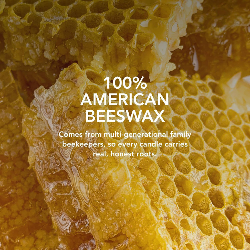 Toasty Pumpkin Brulee - Sweet Pumpkin & Vanilla with Earthy Nutmeg & Cardamom - Perfect Cozy for Fall - Pure Beeswax - Set of 15
