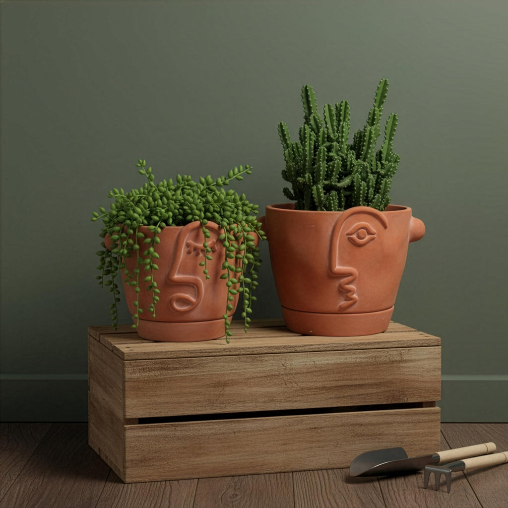 5.9 Inch Terracotta Abstract Face Planter with Drainage & Saucer - Artistic Ceramic Flower Pot for Indoor Plants