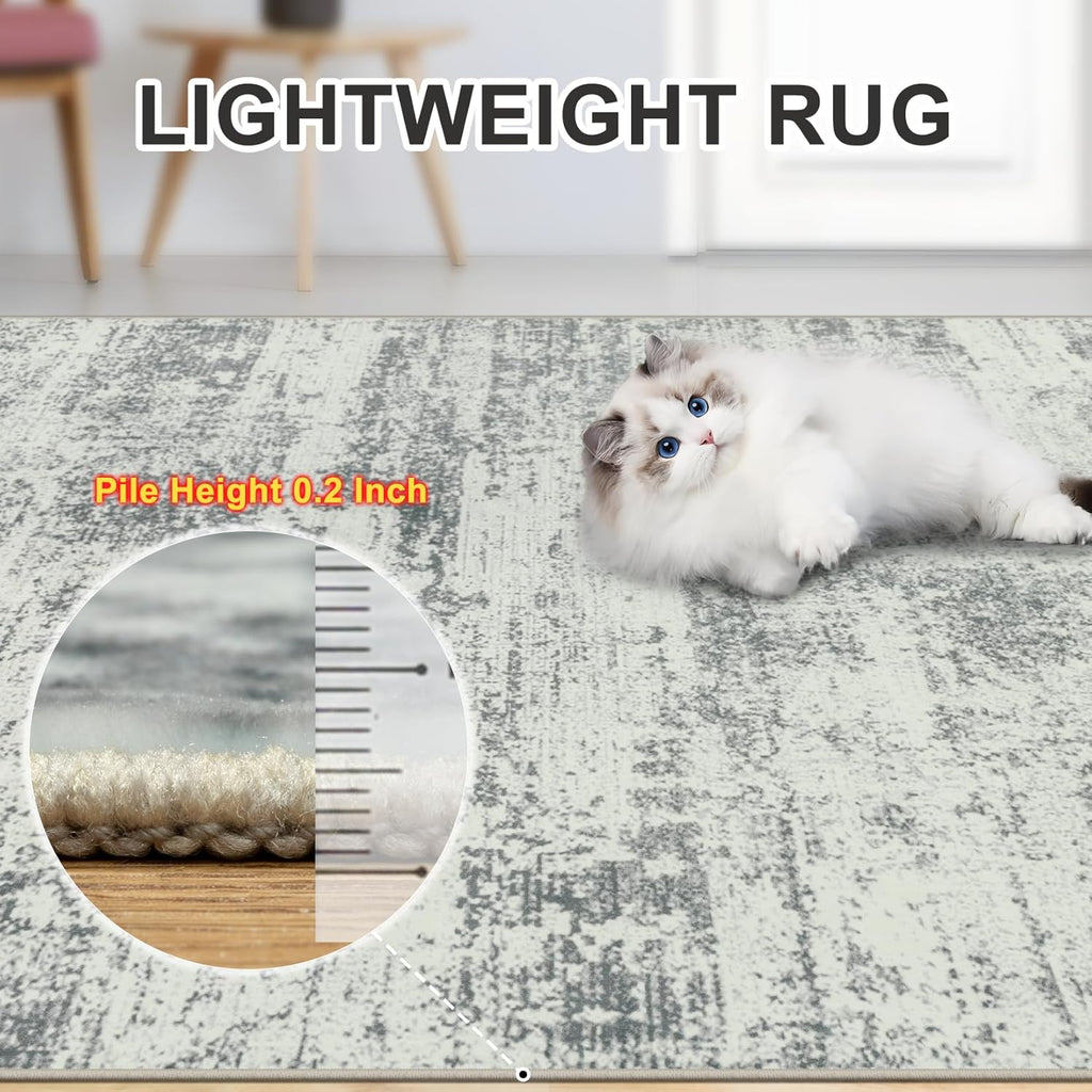 8x10 Area Rugs