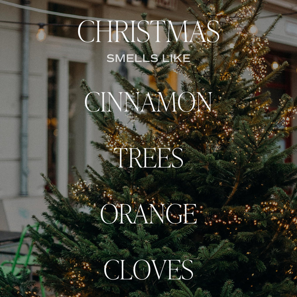Christmas Reed Diffuser Set - Christmas Scented Reed Diffuser w/Fresh Cut Trees and Orange Scent - Reed Diffusers