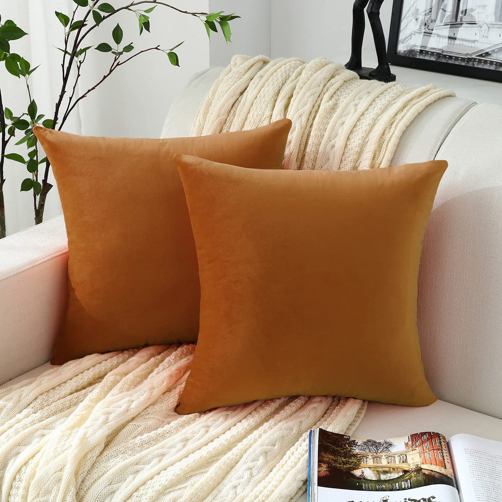 Set of 2 Comfy Soft Thick Velvet Throw Pillow Covers for Sofa Couch, Decorative Solid Square Cushion Cases Car (20 x