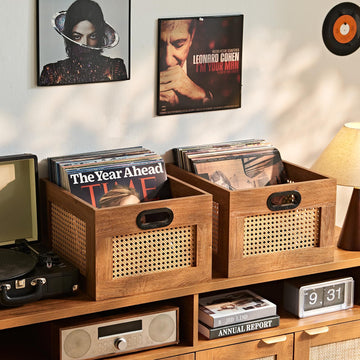 2 Pack Vinyl Record Storage Crates, Rattan Vinyl Record Holder