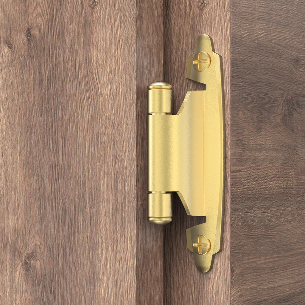 3/8 Inch Inset Cabinet Hinges, 10 Pairs(20 Pack) Self Closing Flush Face Mount Hinges with Door Bumper, Variable