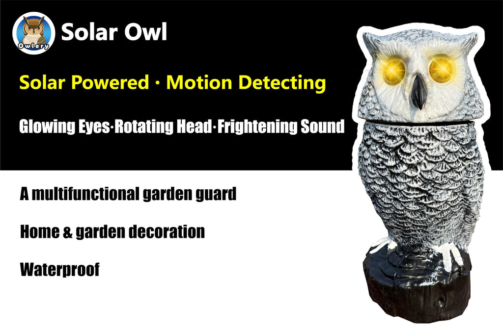 Snowy Solar Owl With Motion Detector, Flashing Eyes, Spinning Head, Realistic Hooting and Silent Mode, Outdoor