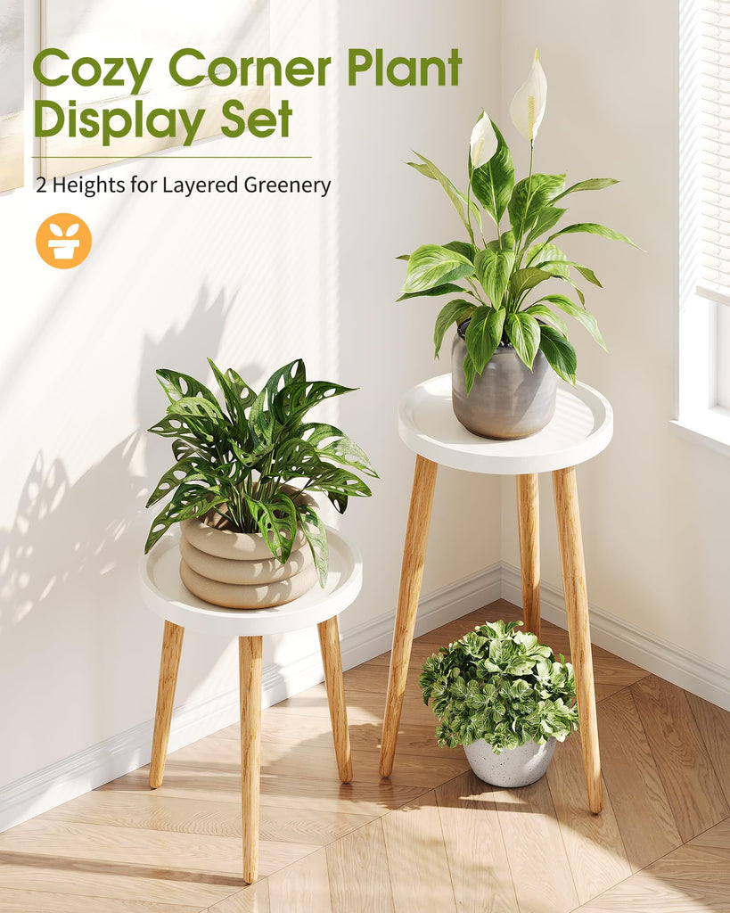 Plant Stand Indoor 2 Pack, Mid Century Wood Indoor Plant Stands, Tall Plant Holder for Flower Pot, Modern Plant Table