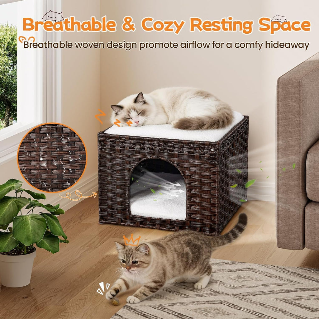 Handwoven Rattan Cat House - Indoor Foldable Cat Bed Cave with 2 Removable Bed Mats, Large Kitten House, Hideaway Pet