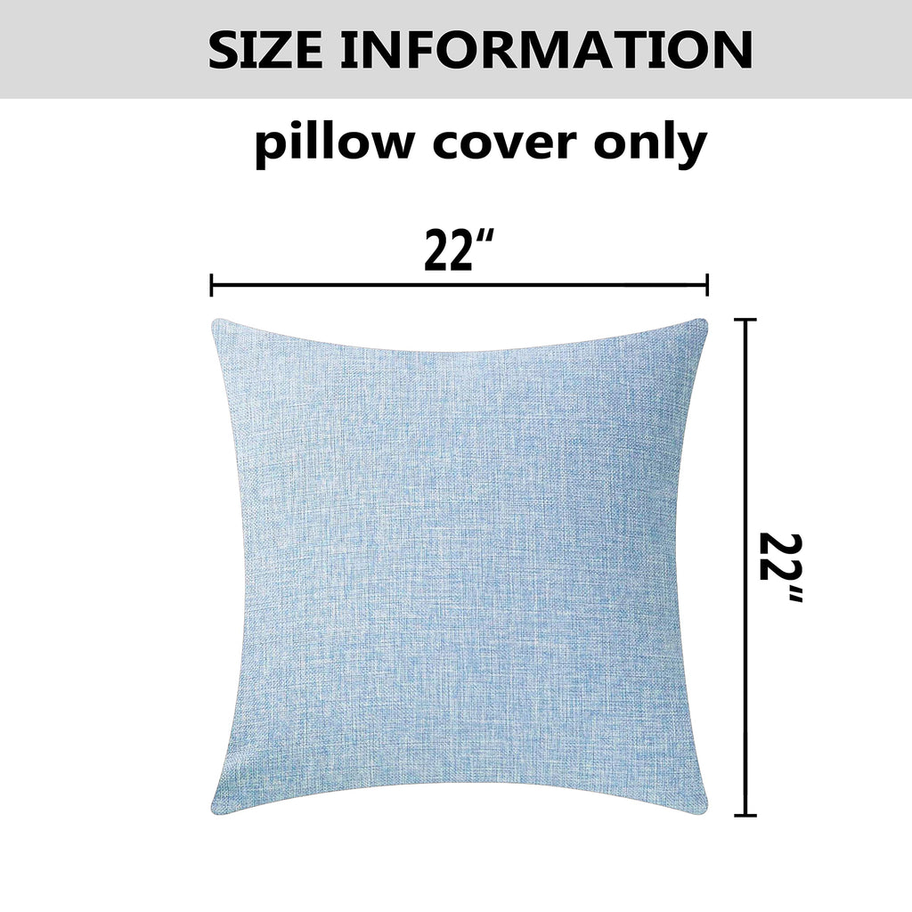 Set of 2 Farmhouse Pilloe Covers 22x22 Blue Lined Linen Euro Pillow Covers 55x55 cm 22 inch, Light Blue