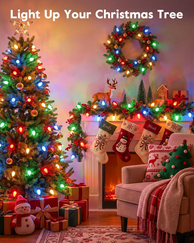 C9 Christmas Lights Outdoor, 25 FT 25 LED Vintage String Lights, Multicolor Waterproof Holiday Lights for Christmas