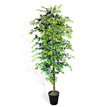 8ft Artificial Ficus Tree in Black Plastic Pot - Real Wood Trunk, No Maintenance Indoor Faux Plant - Living Room