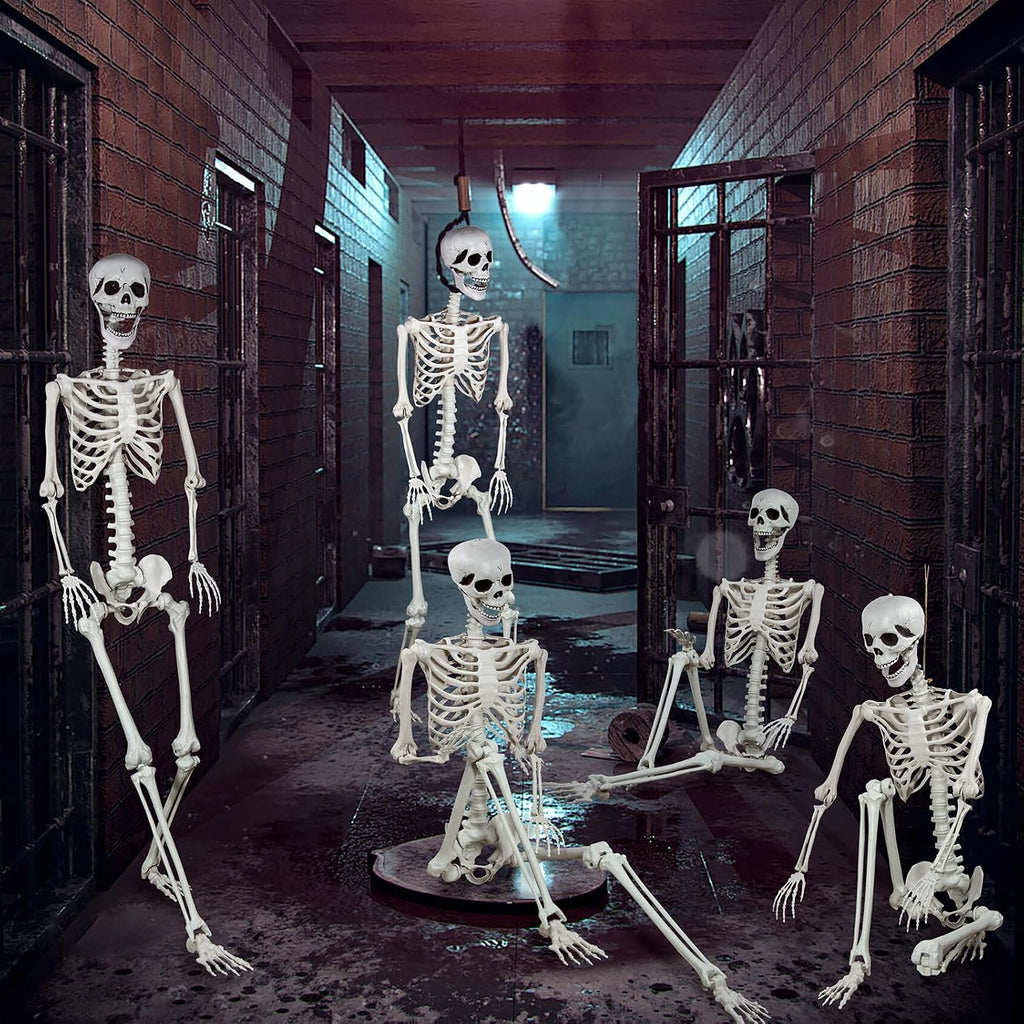 5.9ft Halloween Life Size Skeleton Realistic Full Body Skeletons Plastic Human Bones with Movable Joints