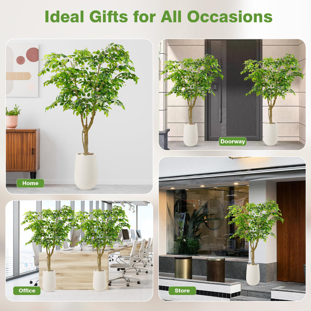 6.5FT Artificial Ficus Tree with White Planter, Moss and Pebbles