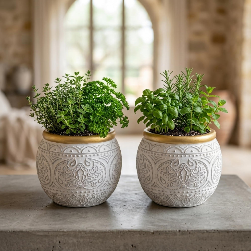 2Pcs 5.9 Inch Cement Planters, Vintage Planter with Gold Rim and Drainage Holes, Decorative Indoor Containers for