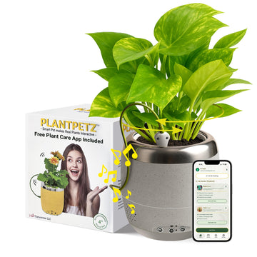 Smart Robotic Planter for 4" Potted Plants- Speckled Sand | Interactive Moving & Dancing Flowerpot with Bluetooth