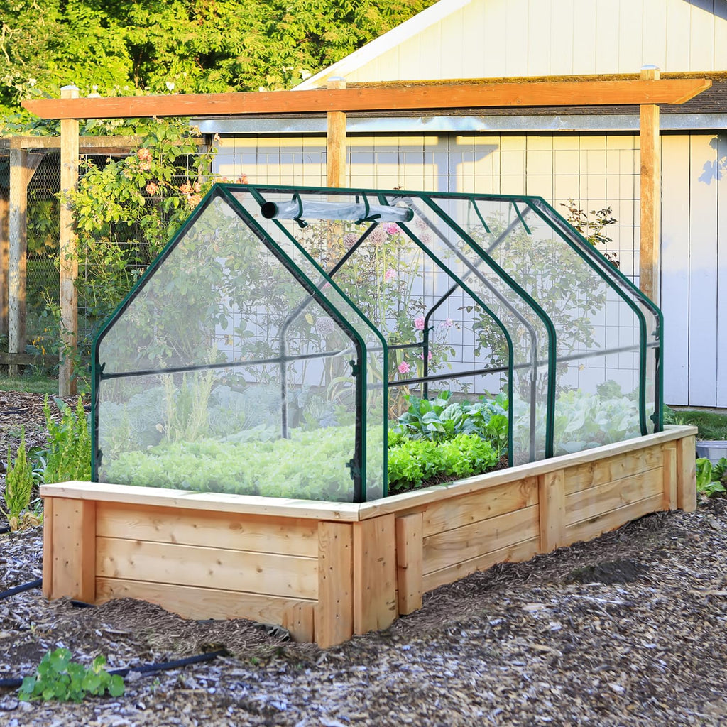 Portable Mini Greenhouse, 71"x36"x36" Greenhouses for Outdoors with Dual Large Zipper Doors & Ground Stakes