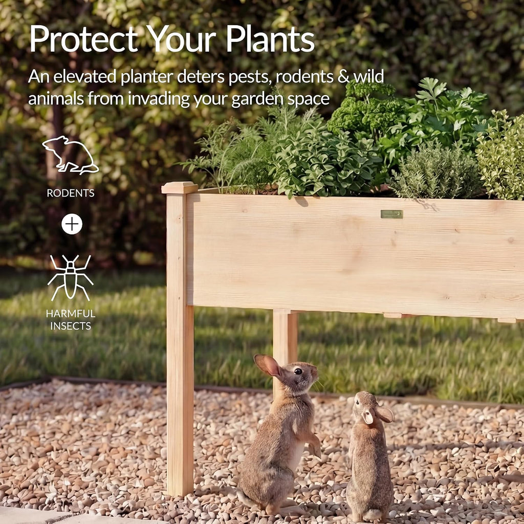 Raised Herb Garden Bed Planter Box - Elevated Wooden Planter with 10 Grid Growing Compartments, Drainage Holes