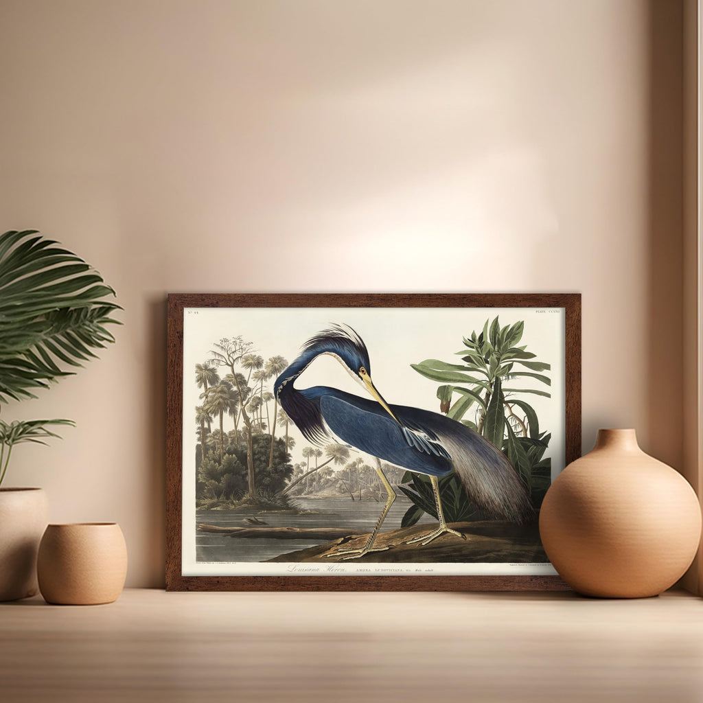 Master Vintage James Audubon Poster - Retro Louisiana Heron Print - Birds of America Art - Gift for Men, Women &