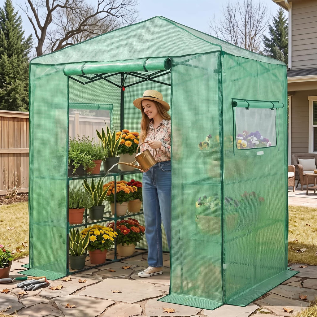 6x4 Easy Setup Small Pop Up Greenhouse, Clear/Green