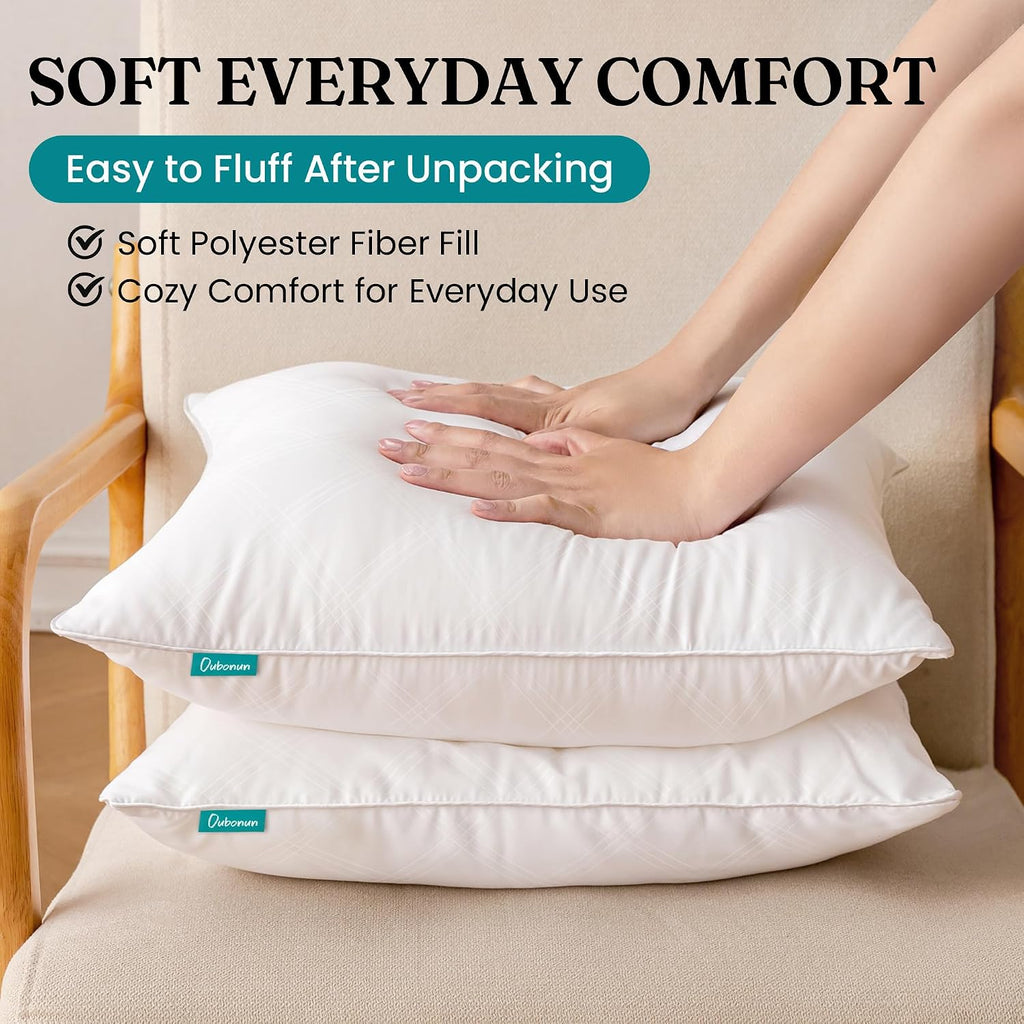 18x18 Throw Pillow Inserts, Soft Decorative Couch Cushion - Set of 2
