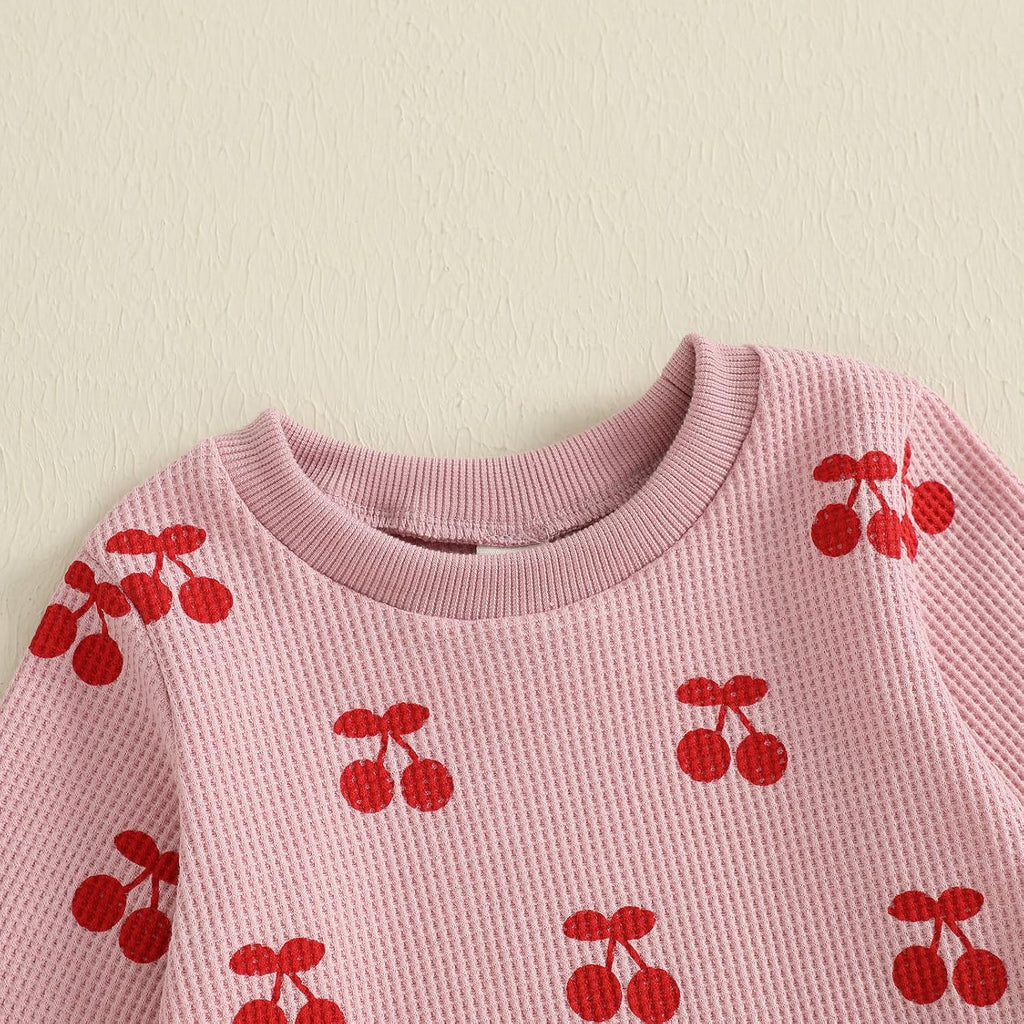 Baby Girl Clothes Toddler Fall Outfits Sweatshirt Pants