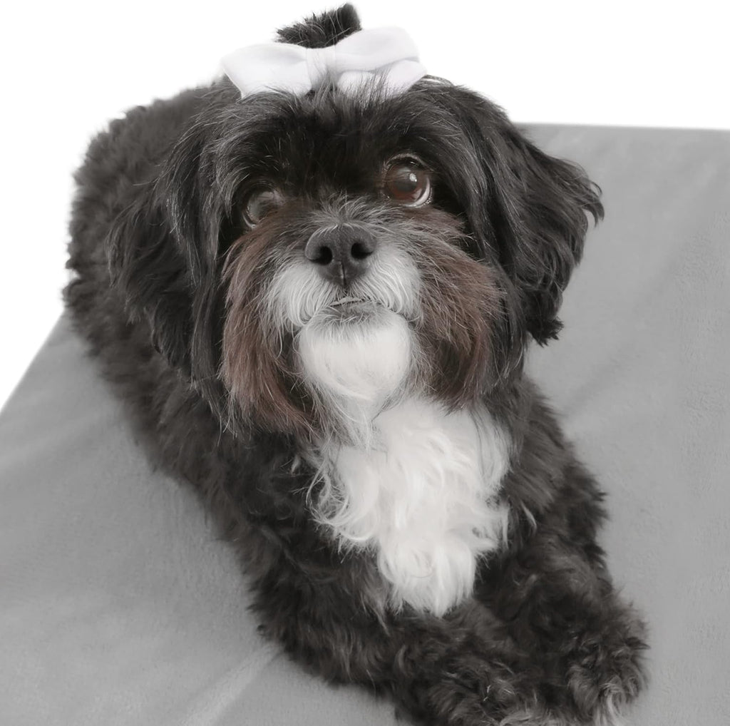 Chase Wooden Dog Bed with Calming Mattress, Elevated Pet Ded, Large