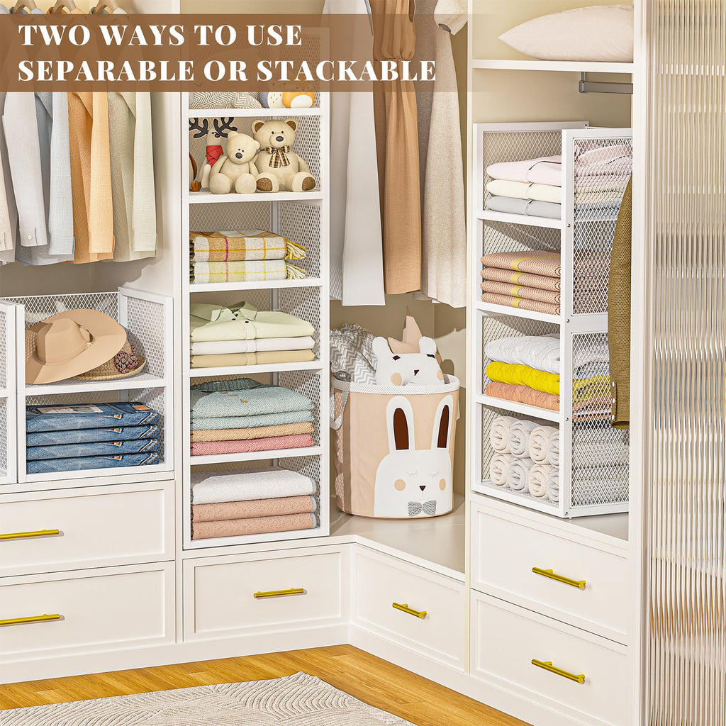 6-Tier Stackable Closet Organizers and Storage Basket, Wire Closet Shelf Organizer, Sweater Storage Oragnizer Bins